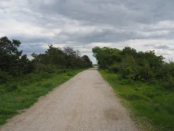 Halshuisene + Enebaerodde Beach (Denemarken)